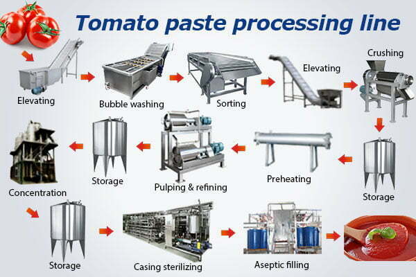 How Does a Tomato Paste Production Line Work? Complete Industrial Process from Fresh Tomato to Finished Product