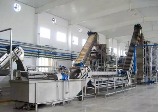 Smart Food Factory: How IoT and Automation Improve Tomato Processing Efficiency